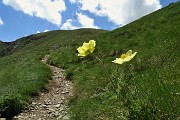 74 Ormai in vetta alla Cima di Lemma (2348 m)